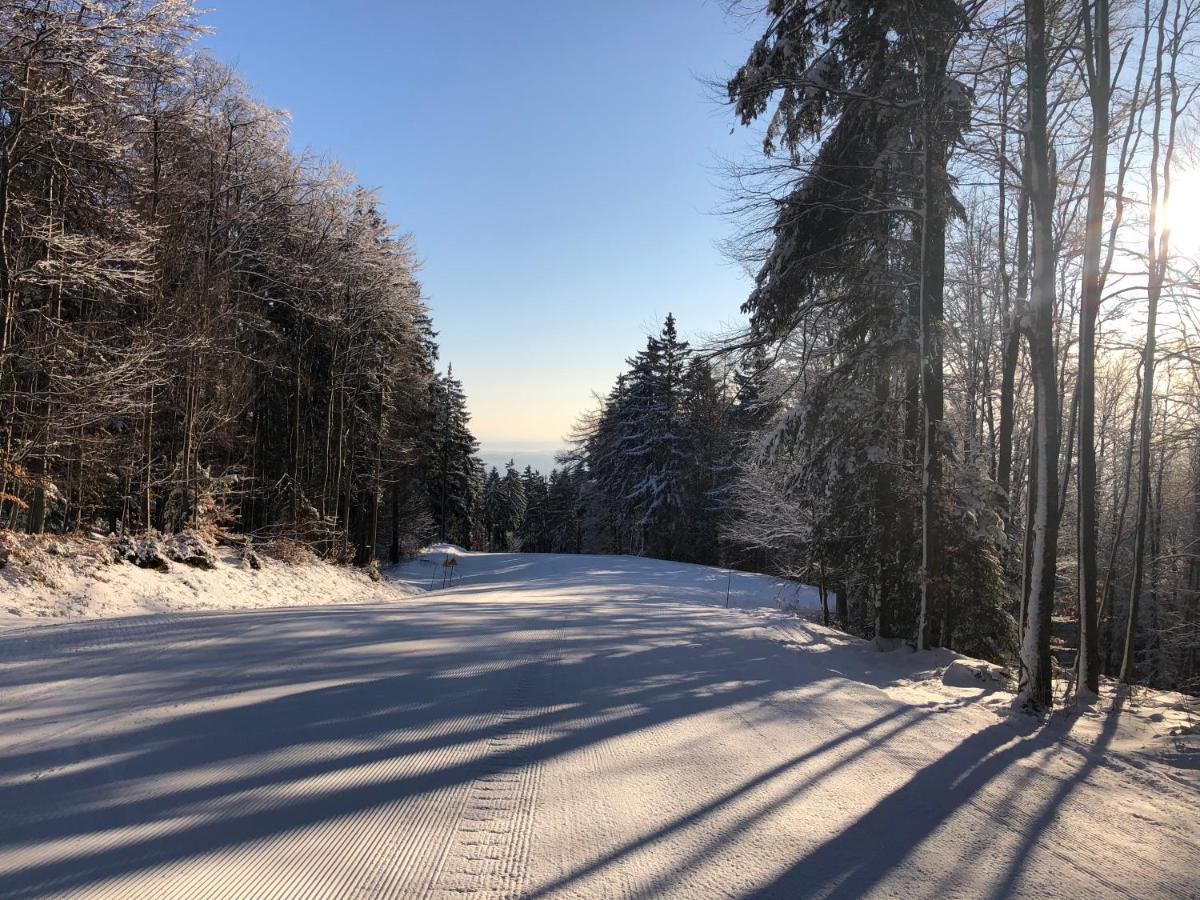 Chalet Anra Pohorje Zgornje Hoce Extérieur photo
