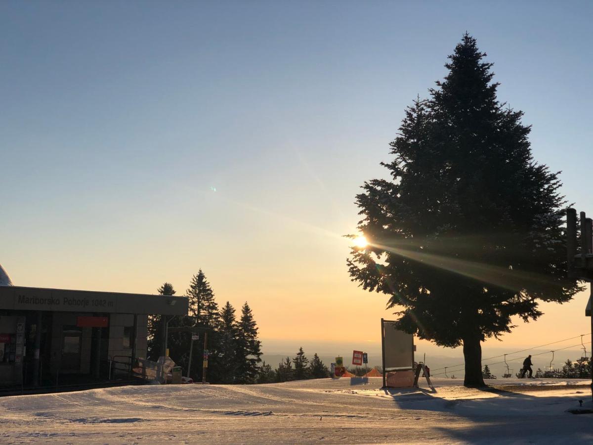 Chalet Anra Pohorje Zgornje Hoce Extérieur photo