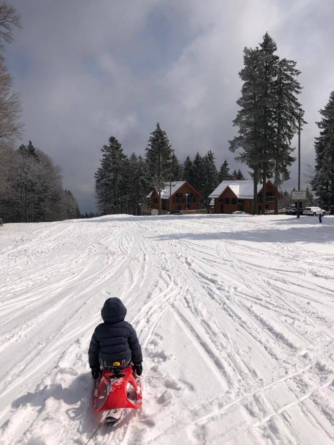 Chalet Anra Pohorje Zgornje Hoce Extérieur photo