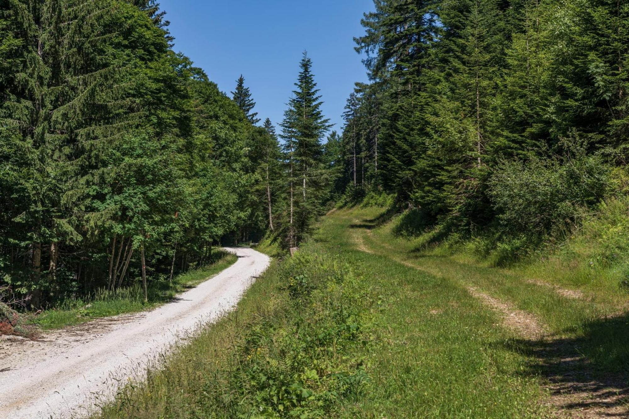 Chalet Anra Pohorje Zgornje Hoce Extérieur photo